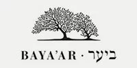 12-Bayaar-logo